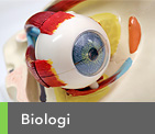 Biologi